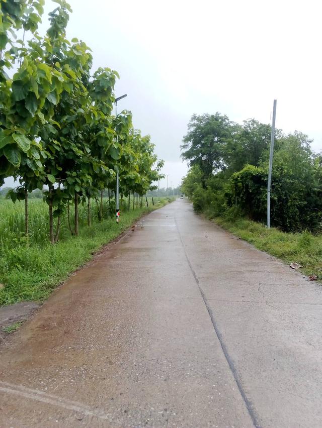 ต้องการขายที่ดิน4ไร่ 2