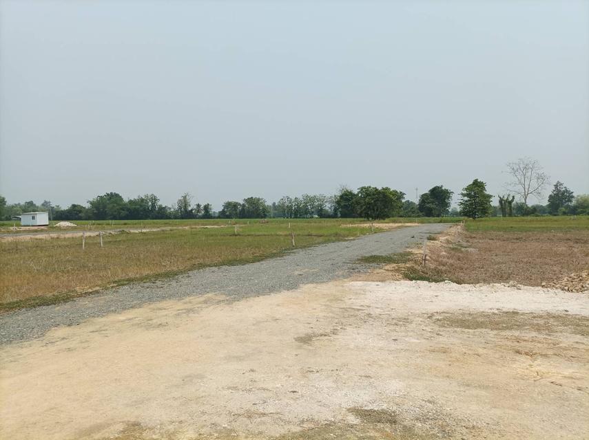 ขายที่ดิน ราคา4,500บาท/ตร.ว. ต.สง่าบ้าน อ.ดอยสะเก็ด เชียงใหม่ 3