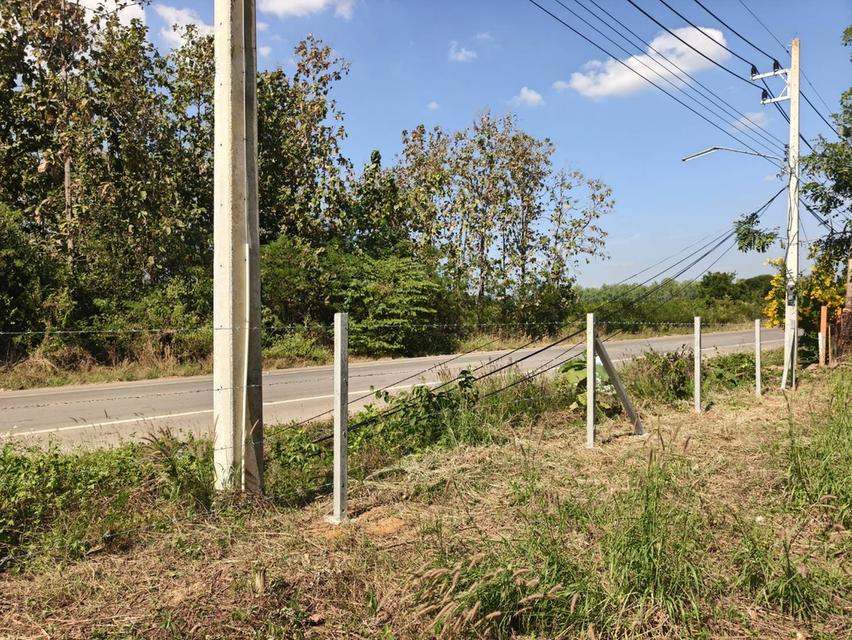 ขายที่ดิน 1 ไร่ 70 ตรว. ต.น้ำร้อน อ.วิเชียรบุรี จ.เพชรบูรณ์ ติดถนนใหญ่ ทำเลดีแหล่งชุมชน ล้อมรั้วรอบ ราคา 780,000 บาทสนใจติดต่อคุณเต้ เจ้าของขายเอง 9
