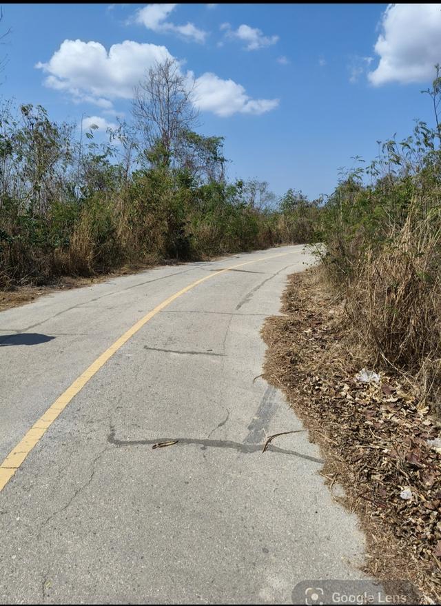 ที่ดิน พื้นที่สีม่วง 112ไร่ 3