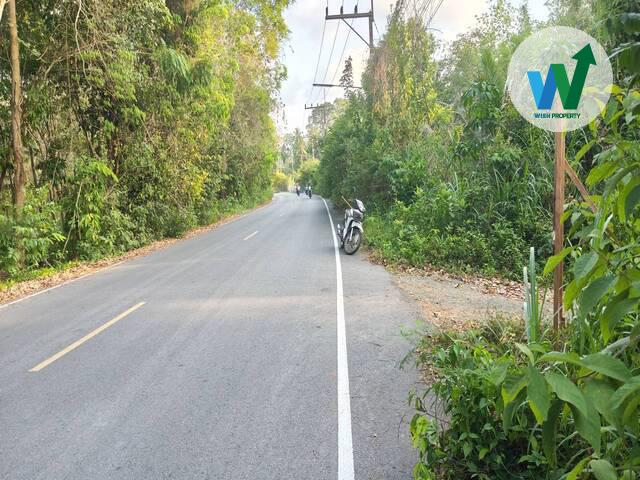 ขายที่ดินพร้อมไม้กฤษณาที่ติดถนนในอำเภอควนขนุนราคาไม่แพง 2