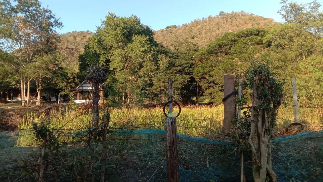 ขายบ้านพร้อมที่ดิน หลังติดเขา ต.เขาขลุง อ.บ้านโป่ง จ.ราชบุรี 7