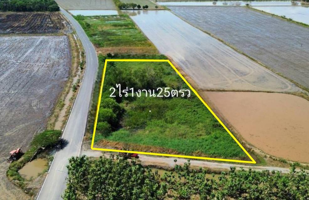 ขายที่ดินบางเตย 2 ไร่ ติดถนน2ด้าน ใกล้โรบินสันฉะเชิงเทรา 6 กม. อ.เมืองฉะเชิงเทรา 1