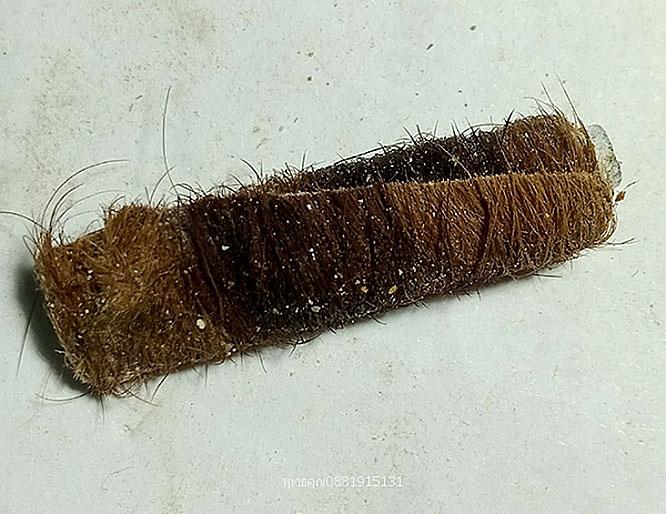 ตะกรุดหนังเสือวัดกม.26ใน จ.ยะลา 4