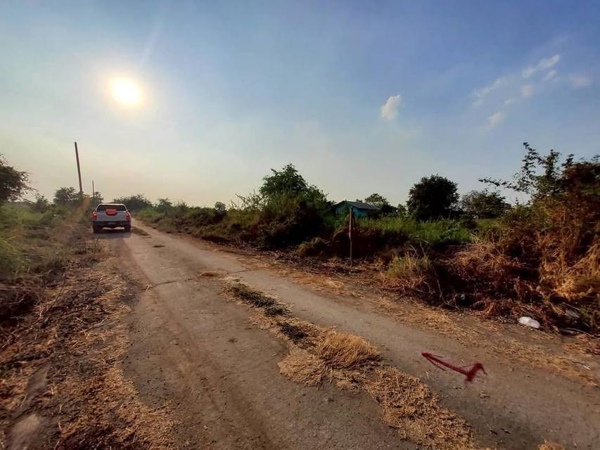 ขายด่วนที่ดิน 100 ตารางวา - ดี ติดถนนคอนกรีต 2 คลอง 12 หนองเสือ ปทุมธานี 4