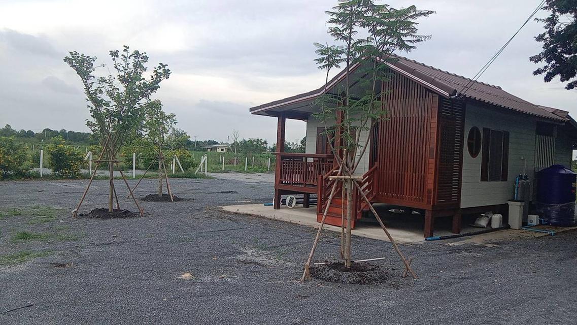 ที่ดินพร้อมบ้านและของใช้ต่างๆ 3
