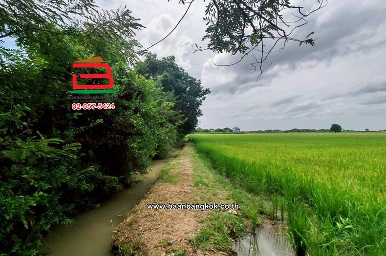 ที่ดินเปล่า เนื้อที่ 11-1-27.7 ไร่ ใกล้วัดชัยสิทธาราม ถนนเลียบคลองหางบางศาลา ตำบลจรเข้ร้อง อำเภอไชโย อ่างทอง 5