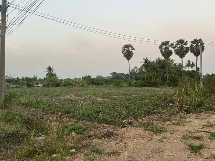 ที่ดิน2ไร่2งานเศษ ติดถนน ชัยนาท-สุพรรณบุรี 6