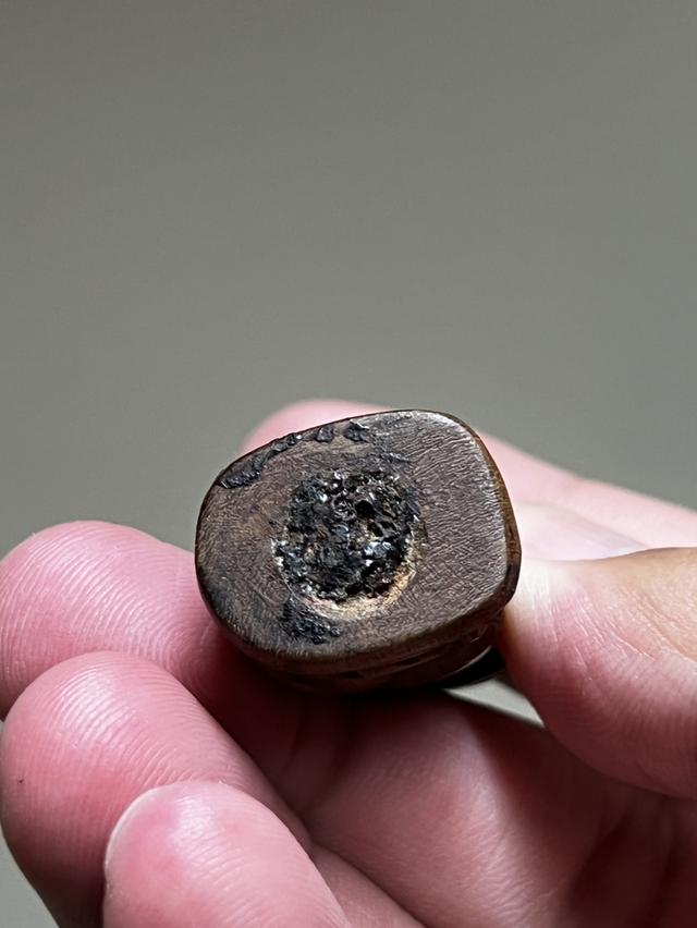 เสือไม้แกะเก่า  ก้นอุดคลั่ง รูปที่ 5