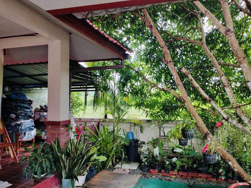 บ้านเดี่ยวโครงการบ้านหน้าสวนละงู จังหวัดสตูล 2