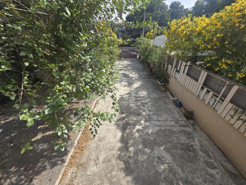 ให้เช่าบ้านสองชั้นที่จอดรถกว้าง ทําเลดี สาทรหลังโรงพยาบาลเซนต์หลุยส์ 16