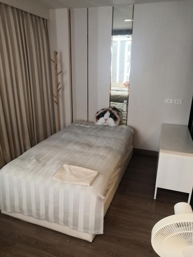 คอนโดดิออรอจิ้น​ รามอินทรา83 12
