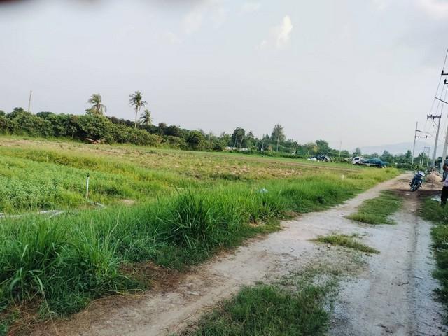 ขายที่ดินมายไผ่บ้านบึงชลบุรี ผังสีเหลือง บนเนื้อที่ 1-1-74 ไร่ เหมาะสำหรับสร้างโกดัง,โรงงานขนาดเล็ก 4