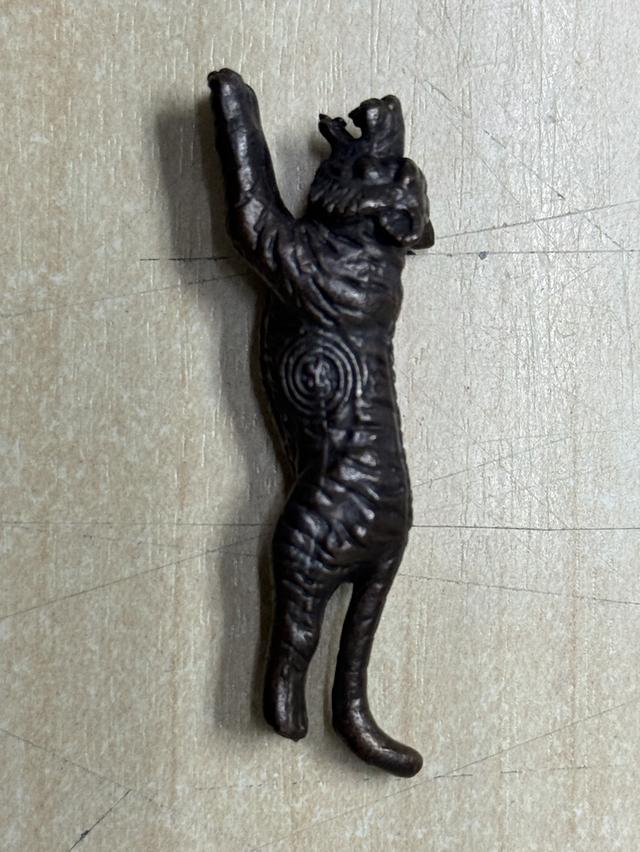 เสือหลวงพ่อคง เสาร์ห้า 2