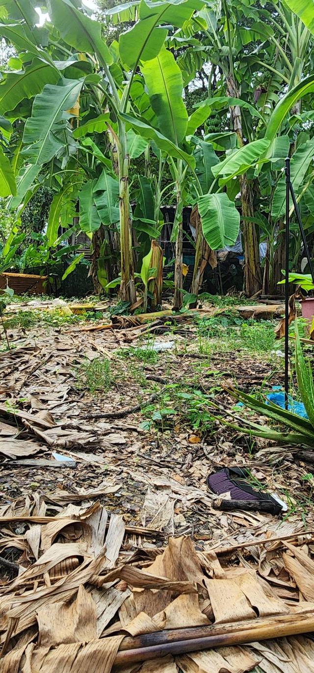 ที่ดิน 7