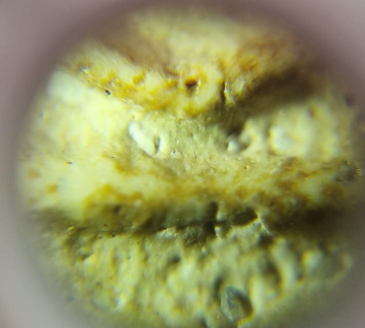 พระสมเด็จ 11