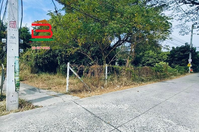 ที่ดินเปล่า บ้านงิ้วซอย15 (ซ.สวนมะม่วง) เนื้อที่ 103 ตรว. ถนนติวานนท์ ตำบลบ้านงิ้ว อำเภอสามโคก จังหวัดปทุมธานี 2