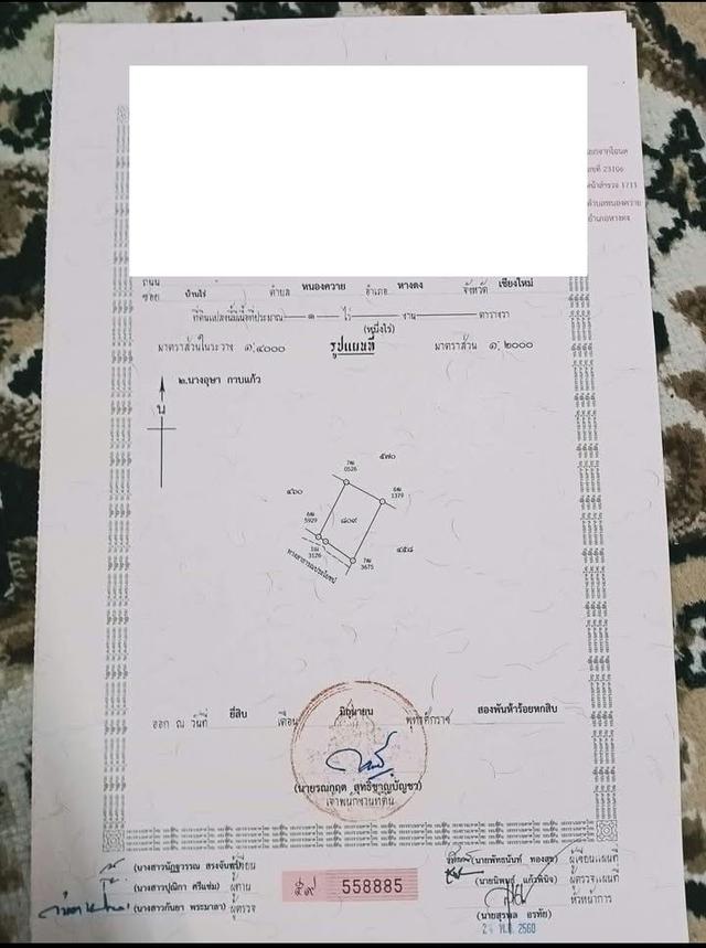 ที่ดินสวนลำไย ต.หนองควาย อ.หางดง 8