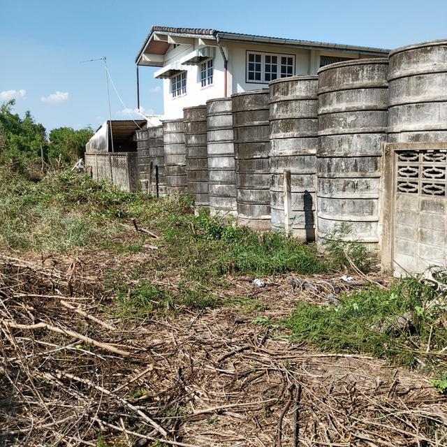 ที่ดินท่าไข่ฉะเชิงเทรา 20