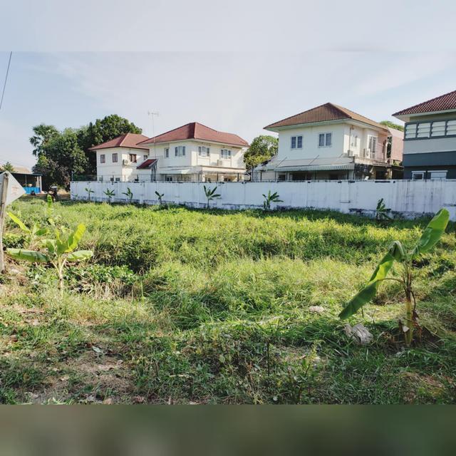 ขายที่ดินบางพูน ติดทางเข้าหมู่บ้าน มณีรินทร์ เอ็กซ์คลู ซีพพาร์ค(บางกะดี) 9