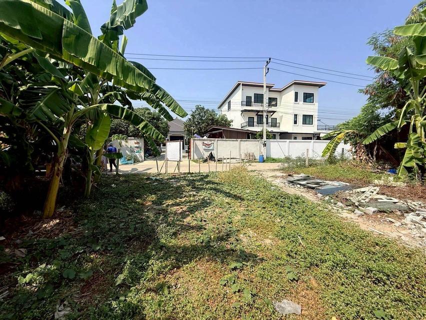 ขายถูกที่ดินลาดสวาย 124 ตรว ติดถนนคอรกรีตสาธารณะ ถมแล้ว ซ.ร่วมสุข 3 อ.ลำลูกกา จ.ปทุมธานี รูปที่ 7