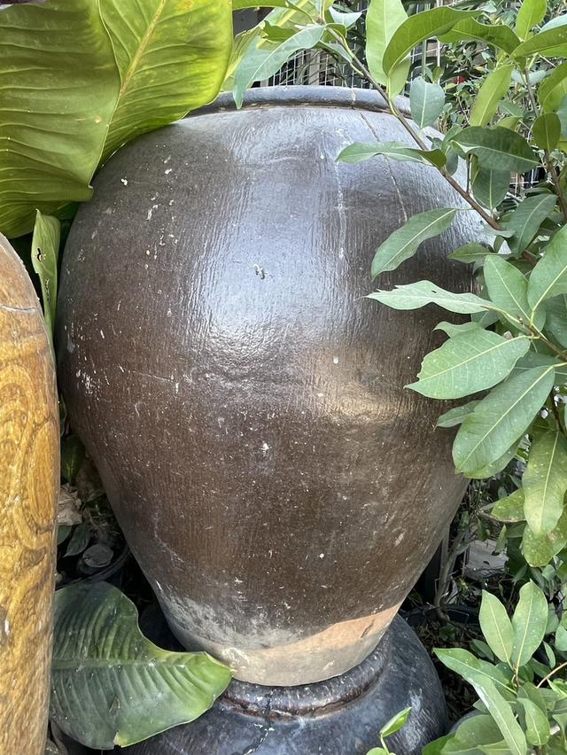 โอ่งโบราณ โอ่งเก่า โอ่งไทย และโอ่งจีน รูปแบบต่างๆ ใบใหญ่ ภาชนะดินเผาโบราณ รูปที่ 5