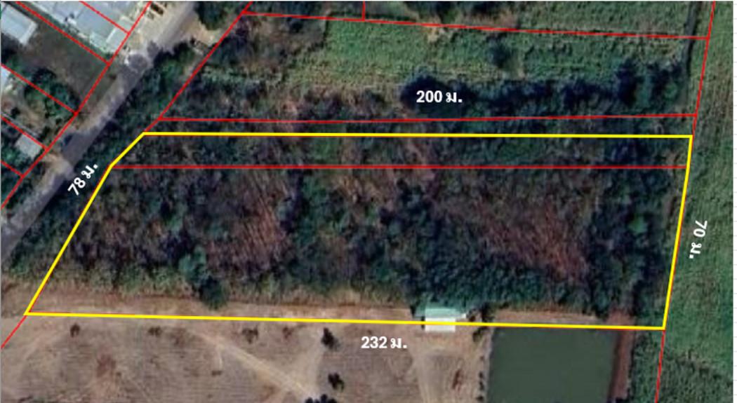 ขาย ที่ดิน สวนป่าเศรษฐกิจ พร้อมไม้ยืนต้นอายุ 30 ปี ติดถนนลาดยาง ทำเลใกล้ย่านชุมชน จ.ชัยภูมิ เนื้อที่ 7 ไร่ 1 งาน 98 ตรว