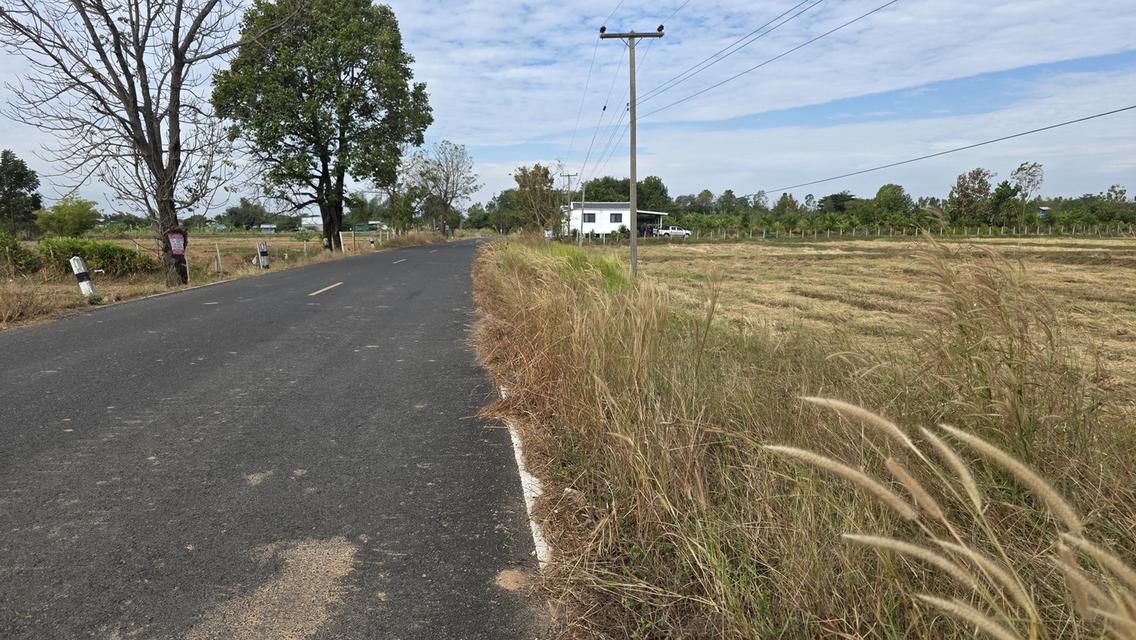 ขายที่ดิน 10 ไร่ อ.ลำปลายมาศ จ.บุรีรัมย์ 6.5 ล้าน 6