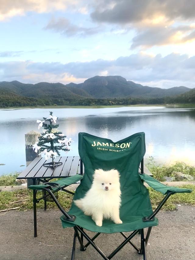 ปอม ชายจริงหญิงแท้ น่ารักๆ 14