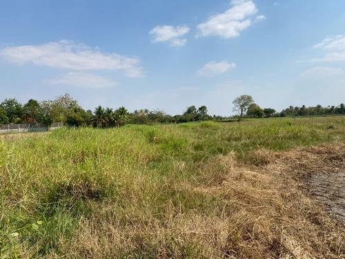 ที่ดิน 1-3-59.0 ไร่ ต.ขามทะเลสอ อ.ขามทะเลสอ จ.นครราชสีมา 8