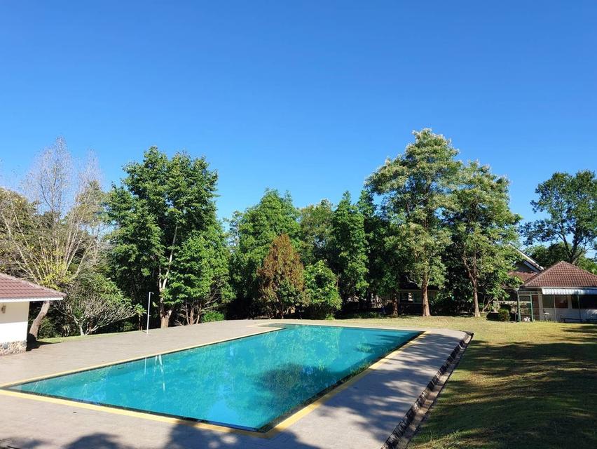 ขาย/ให้เช่าที่ดินเชียงราย 8