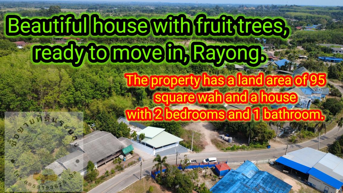 สวนทุเรียนแปลงเล็กระยอง 1