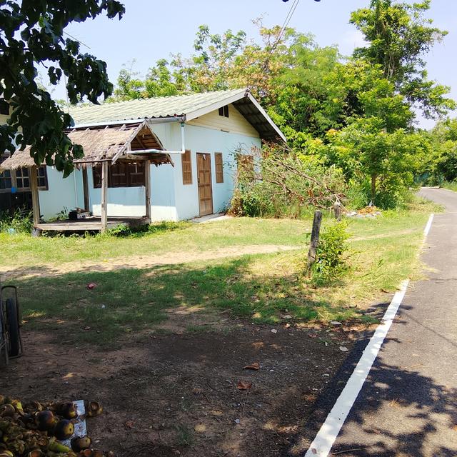 ที่ดิน 200ตรว. อ.เมือง จ.นครราชสีมา 2