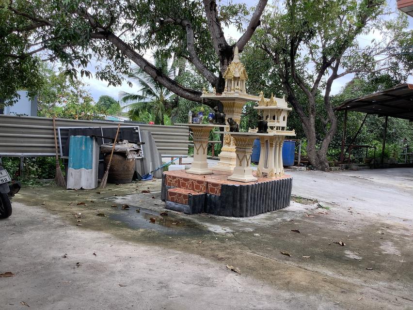 บ้านพร้อมที่ดิน 9