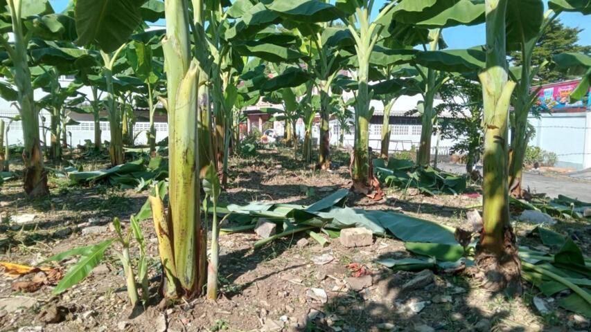 ขายที่ดินเปล่า ขนาด 61 ตร.วา ถ.สุทธิสาร-รัชดาฯ ใกล้ MRTสุทธิสารสายสีน้ำเงินเพียง 600 ม. 4