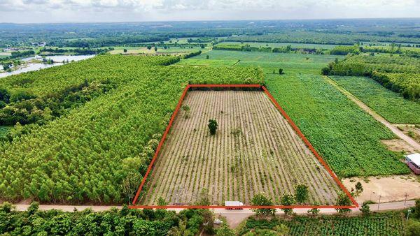 ขายถูก ที่ดิน ศรีมหาโพธิ ปราจีนบุรี  1