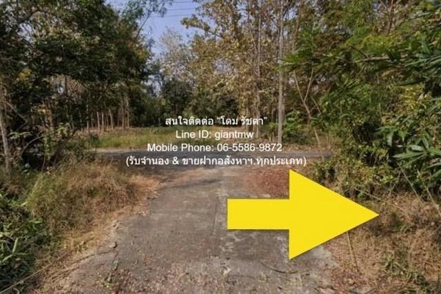 ที่ดิน ขายที่ดินเปล่าขนาดเล็ก (แปลงหัวมุม) 99 ตร.ว. อ.สันป่าตอง จ.เชียงใหม่ ราคา 600,000 บาท 600000 THB ไม่ไกลจาก ถนนสัน 7