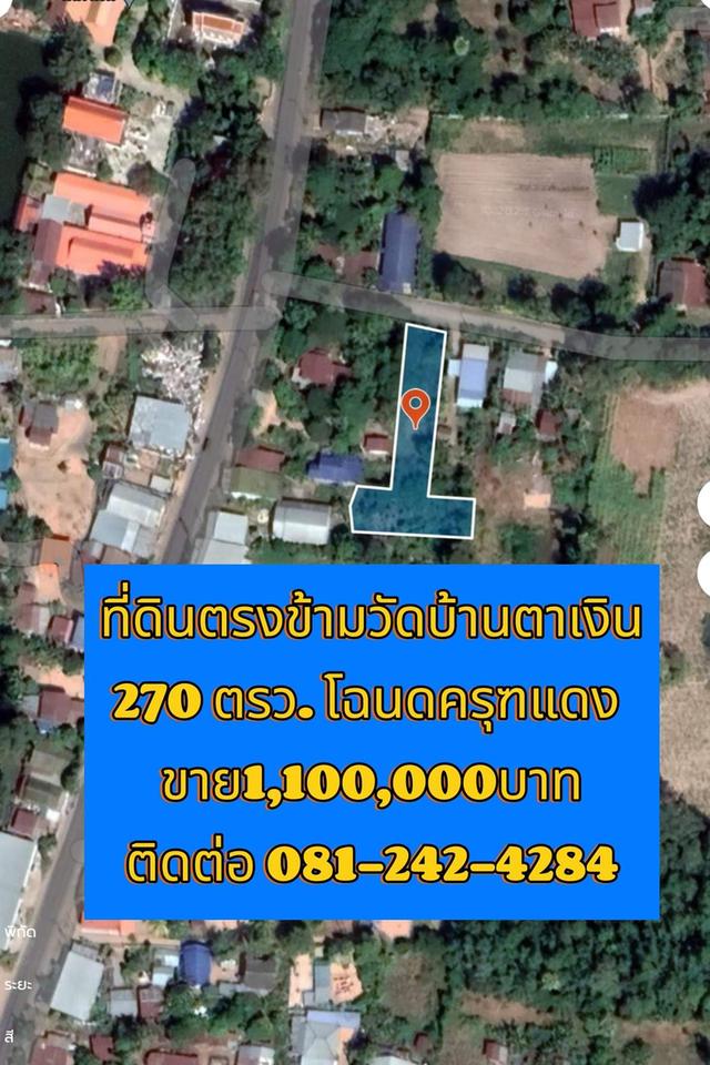 ขายที่ดิน บ.ตาเงิน อ.จักราช จ.นครราชสีมา