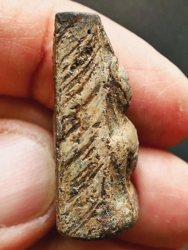 พระนางพญา พิษณุโลก พิมพ์อกนูนใหญ่...เก่า เนื้อจัดสุดๆๆ 9