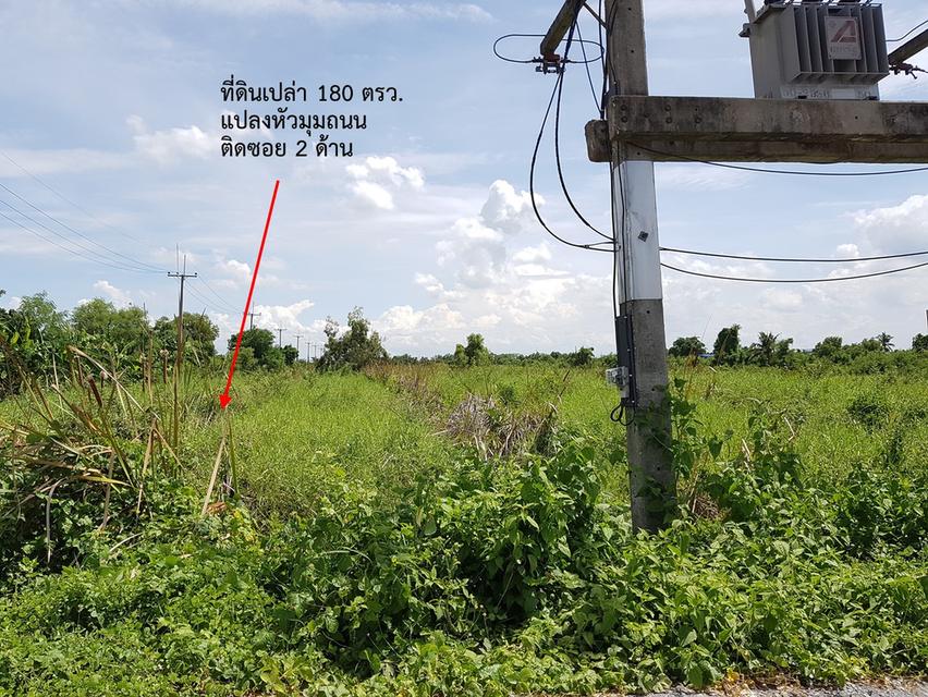 ที่ดินเปล่า 180 ตรว. แปลงหัวมุมถนน อ.บางเลน จ.นครปฐม 9