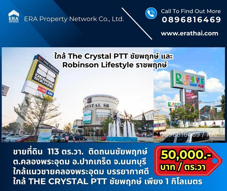 ที่ดินเปล่า ติดถนนชัยพฤกษ์ 113 ตร.วา ขายที่ดินแถมบ้านไม้ ติดถนนชัยพฤกษ์ ใกล้ถนนราชพฤกษ์ ใกล้เดอะคริสตัล พีทีที ชัยพฤกษ์ อำเภอปากเกร็ด นนทบุรี 6