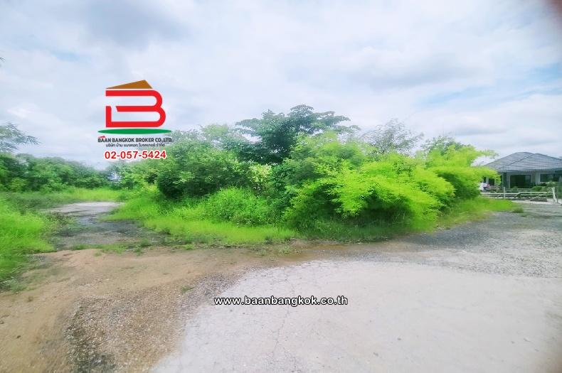 ขาย/เช่า ที่ดินพร้อมสิ่งปลูกสร้าง หนองบัว-บ้านโพธิ์ (ติดถนนสุขประยูร) เนื้อที่ 401 ตร.ว (ติดมาย-กรีน@ศุขประยูร-บ้านโพธิ์) จังหวัดฉะเชิงเทรา 7