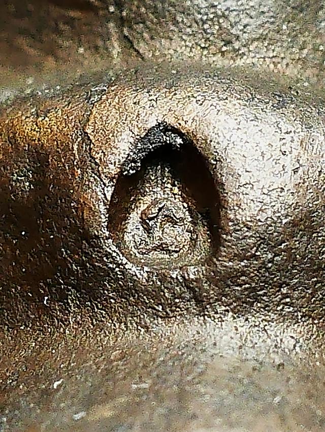 พระกริ่งชินบัญชร หลวงปู่ทิม วัดละหารไร่ ปี 2517...ก้นทองคำ ตอกโค๊ตเลข ๑๙ และโค๊ตศาลา 7