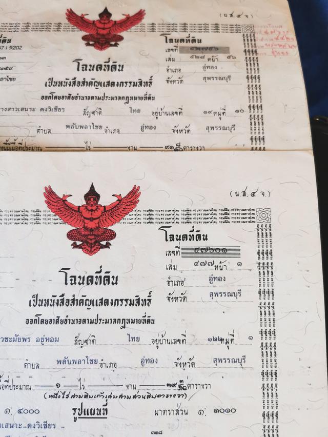 ขายถูกที่สุดบ้านสวนมี3หลังพร้อมที่ดิน295.5ตรว. 15