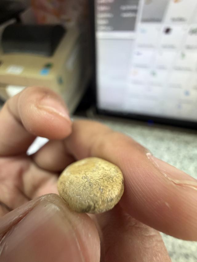 กรุวัดพลับ พิมพ์ไม่สมบูรณ์ แต่เนื้อจัดจ้านมาก รูปที่ 8