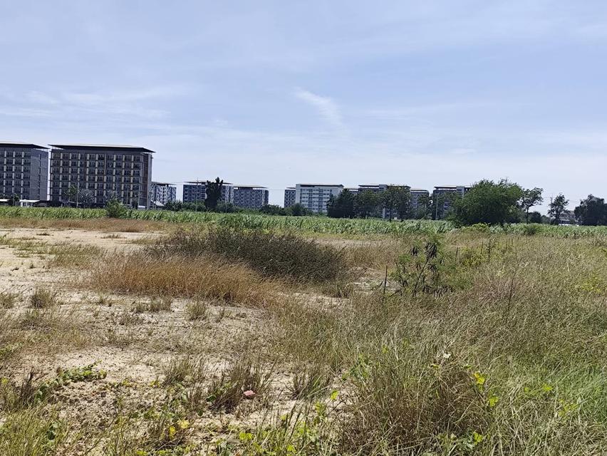 ขายที่ดินเปล่า แปลง 1-9 ไร่แปลงสวย อากาศดี มีบ่อน้ำใส แบ่งได้ ที่ใกล้หอพัก นกฮูกเก้า ม. เกษตร กำแพงแสน นครปฐม 10