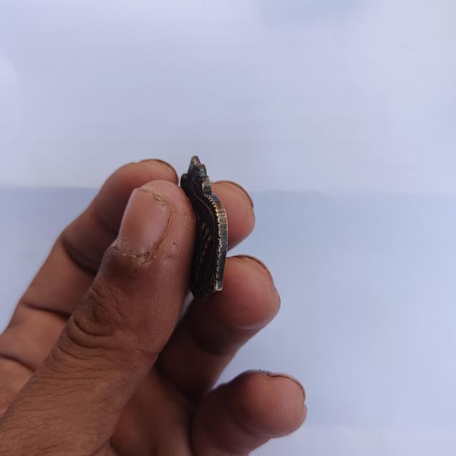 พระเครื่อง เครื่องราง รูปที่ 1