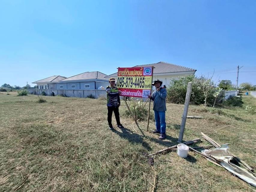 ขายด่วนที่ดิน 200 ตารางวา) ติดถนนคอนกรีตสาธารณะ ถมแล้ว ต.รางพิกุล อ.กำแพงแสน จ.นครปฐม