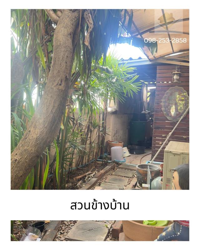 ขายบ้านเดี่ยว เดอะธารา รามอินทรา 2 ชั้น 92 ตร.วา ซอย พระยาสุเรนทร์ 35  เขตคลองสามวา กรุงเทพฯ 12