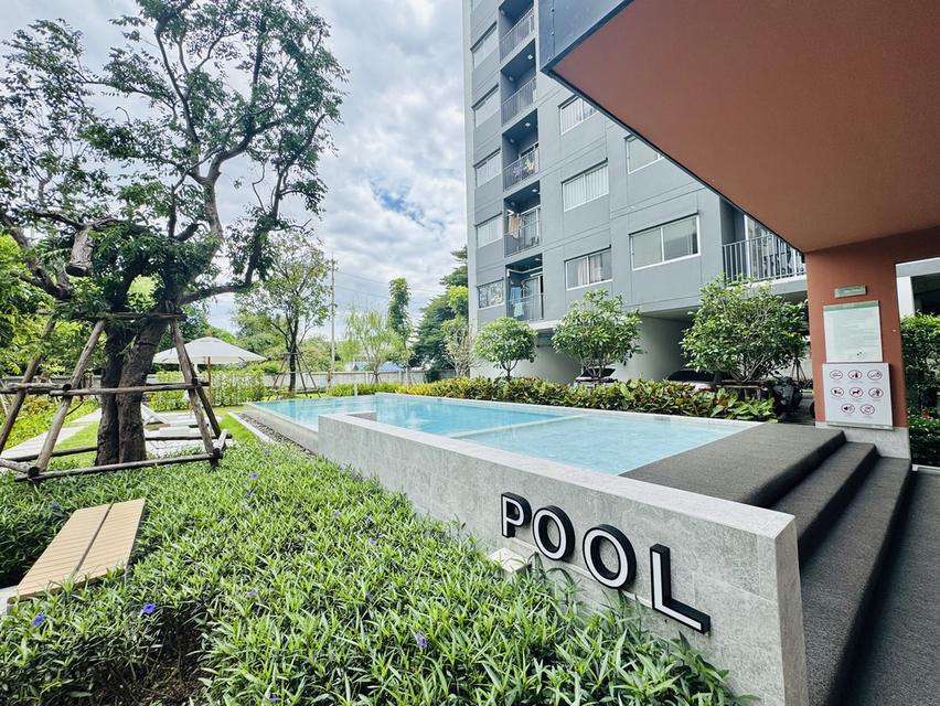 คอนโดเสนาคิทท์ ศรีนครินทร์ (ห้องใหม่) ขนาด 34 ตรม ให้เช่า 2